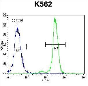 Polyclonal Rabbit anti-Human CPA3 Antibody (aa255-284, WB)