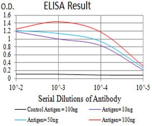 ALCAM / CD166 Antibody (clone 2F1B12)