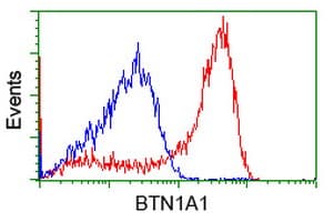 BTN1A1 Antibody (clone OTI3B12)