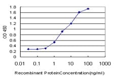 Monoclonal Mouse anti-Human RASGRP4 Antibody (clone 1F3, IHC, WB)