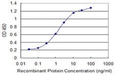 ZSCAN29 Antibody (clone 2E8)
