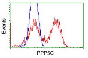 PPP5C Antibody (clone OTI6F1, Carrier-free)