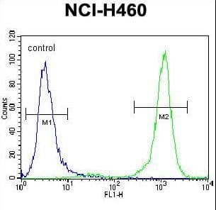 PCDHA9 Antibody (aa226-253)