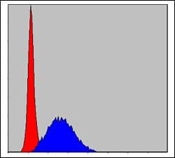 MCM2 Antibody (clone 2B3)