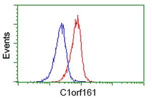 MAB21L3 / C1orf161 Antibody (clone OTI1F6, Carrier-free)
