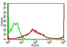 HLA-DRA Antibody (clone L243)