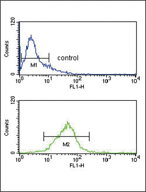 Polyclonal Rabbit anti-Human PCSK9 Antibody (aa144-173, IHC, WB)