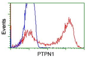 PTP1B Antibody (clone OTI1B4)