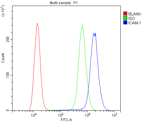 ICAM-1 / CD54 Antibody (aa214-532)