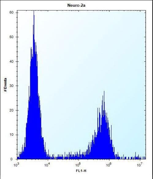 IHC-plus™ MAN2A2 / Alpha-Mannosidase II Antibody (aa767-796)