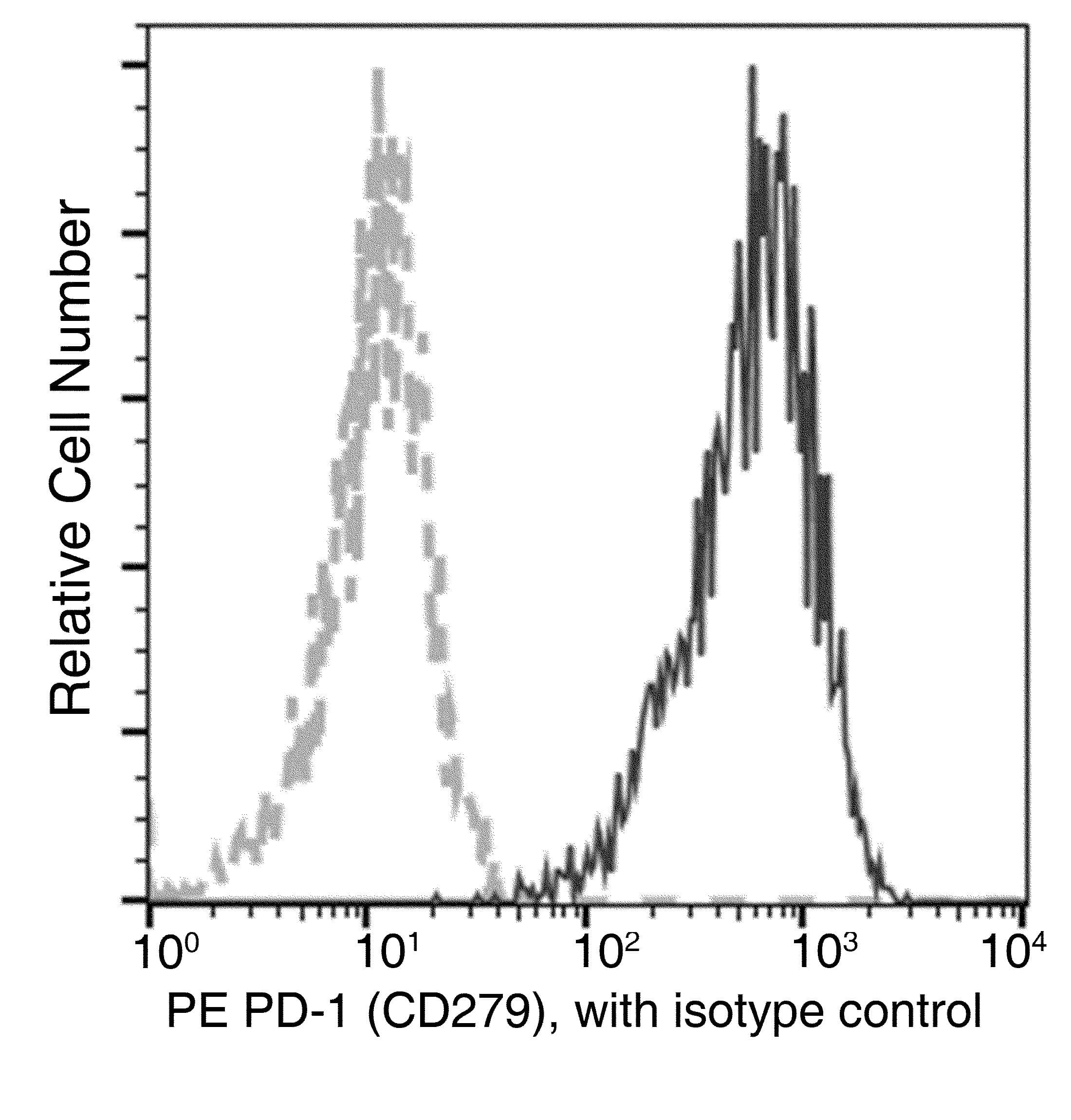 PDCD1 / CD279 / PD-1 Antibody (clone A04, PE)
