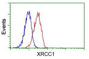 Monoclonal Mouse anti-Human XRCC1 Antibody (clone OTI2G8, WB)
