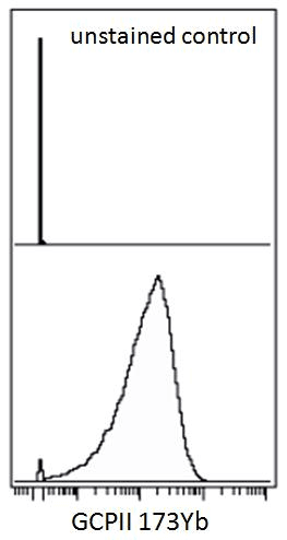 Monoclonal Mouse anti-Human FOLH1 / PSMA Antibody (clone GCP-05)