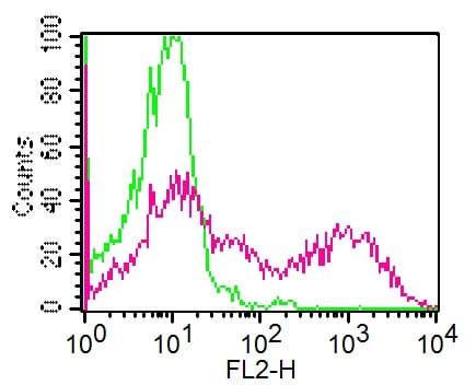 CD24 Antibody (clone ML5)