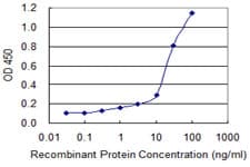 C4BPB / C4BP Beta Antibody (clone 1G9)
