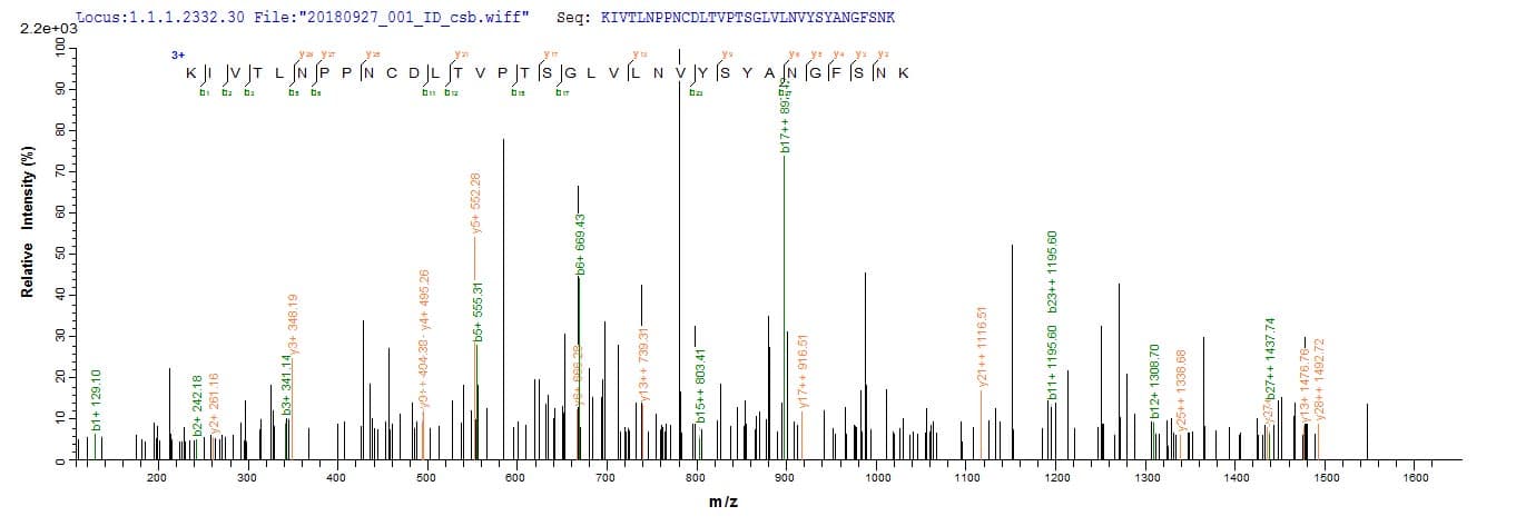 Beta-elicitin cryptogein (Phytophthora cryptogea) Protein (Recombinant 10His, N-terminus + Myc, C-terminus)