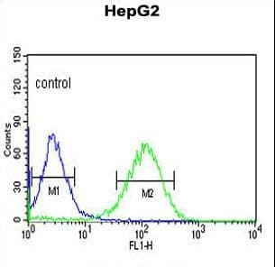 ZNF202 Antibody (aa342-370)