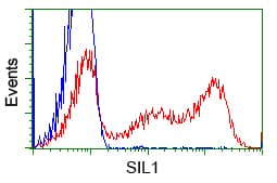 Monoclonal Mouse anti-Human BAP / SIL1 Antibody (clone OTI3B11, IHC, IF, WB)