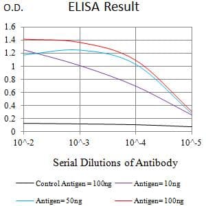 Monoclonal Mouse anti-Human FCRL2 / IRTA4 Antibody (clone 7B12A3, WB)