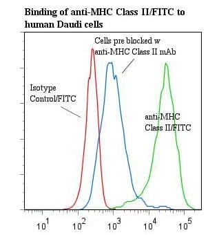 Monoclonal Mouse anti-Human MHC Class II Antibody (clone TDR31.1, FITC, IHC, WB)