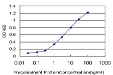 LAMA5 / Laminin Alpha 5 Antibody (clone 2F7)