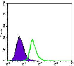 APOE / Apolipoprotein E Antibody (clone 1H4)