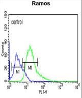 Polyclonal Rabbit anti-Human ARHGAP30 Antibody (aa784-812, IHC, WB)