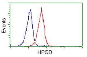 15-PGDH / HPGD Antibody (clone OTI2C10)