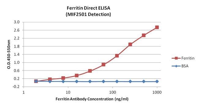 Ferritin Antibody (clone 101)