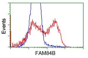 FAM84B Antibody (clone OTI2E9, Carrier-free)