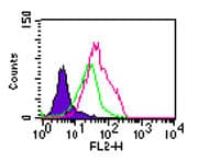 IHC-plus™ TLR5 Antibody (aa300-350)