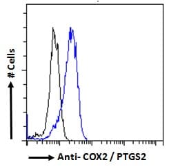 PTGS2 / COX2 / COX-2 Antibody (aa592-604)