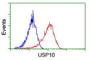 Monoclonal Mouse anti-Human USP10 Antibody (clone OTI1A10, IHC, WB)