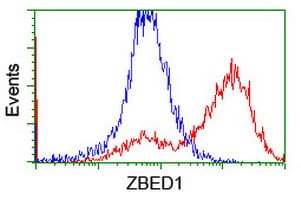 ZBED1 / TRAMP Antibody (clone OTI5A2)