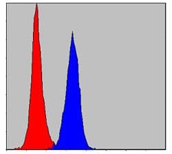 PKN2 Antibody (clone 1D1)