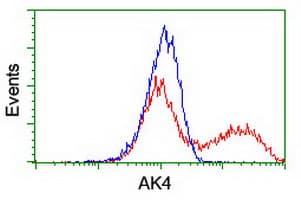 AK4 / Adenylate Kinase 4 Antibody (clone OTI3B1, Carrier-free)