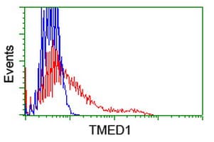 TMED1 / ST2L Antibody (clone OTI7G4)