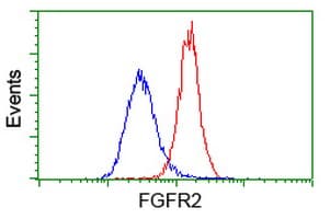 FGFR2 / FGF Receptor 2 Antibody (clone OTI3B3)
