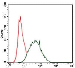 KRT5 / CK5 / Cytokeratin 5 Antibody (clone 2C2)