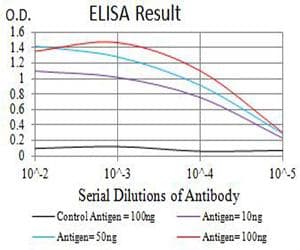 Monoclonal Mouse anti-Human CHRNA2 Antibody (clone 7G12D10, WB)