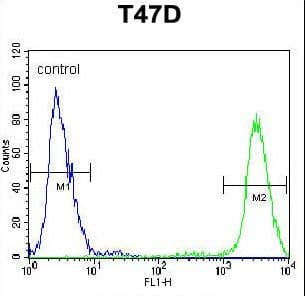 PIGM Antibody (aa394-423)