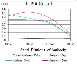 IHC-plus™ RUNX3 Antibody (clone 2B3)