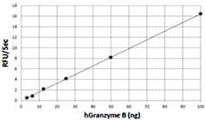 Human GZMB / Granzyme B Protein (Recombinant)