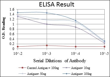 BLNK Antibody (clone 5G9)