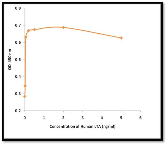 Human LTA / TNF Beta Protein (Recombinant)