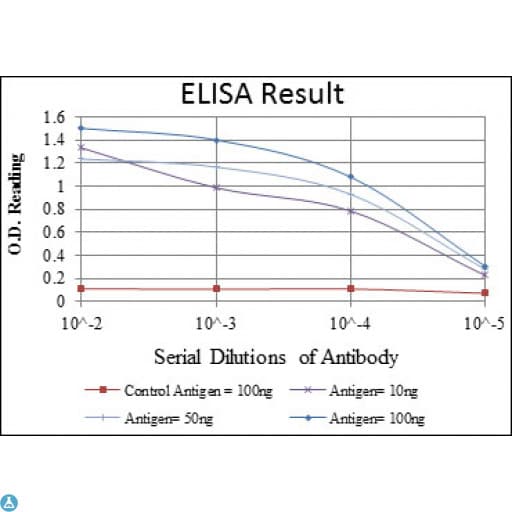 EIF4E Antibody