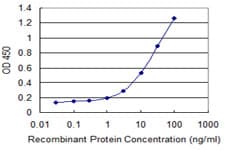 ZP2 Antibody (clone 2B9)