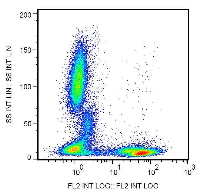 Monoclonal Mouse anti-Human CD5 Antibody (clone L17F12, Biotin, WB)