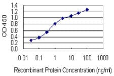 OSBP Antibody (clone 5A3)