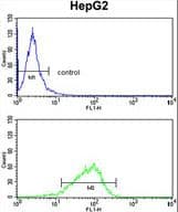 GPD1 Antibody (aa28-57)